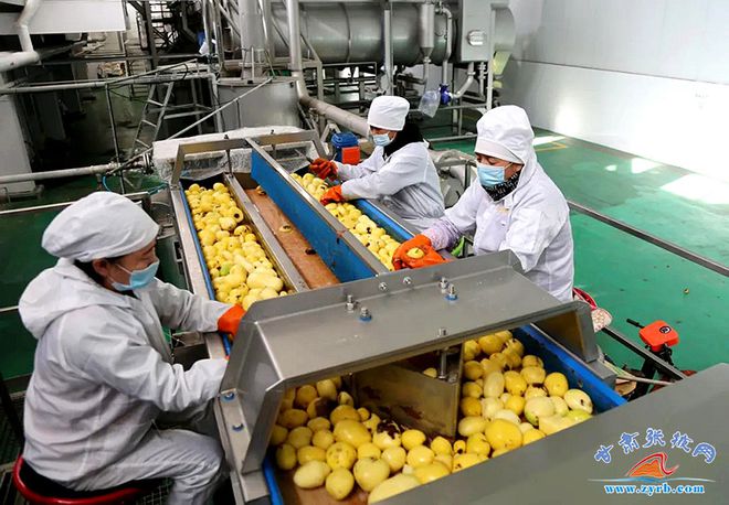 从“土疙瘩”到“金名片” 几个马铃薯品牌的出圈启示录